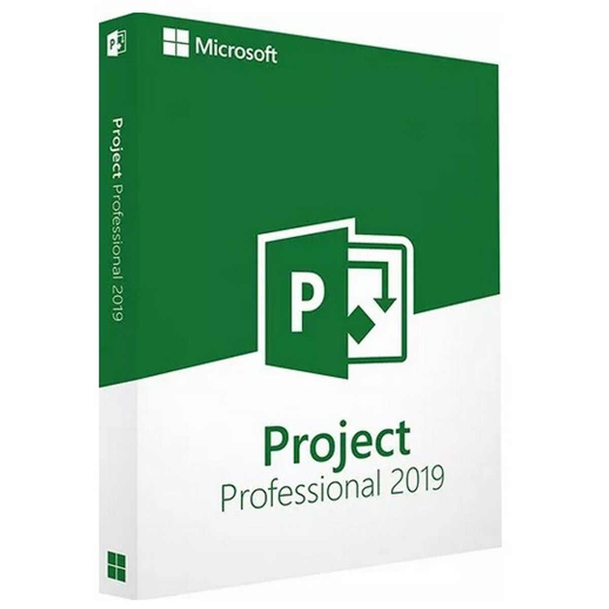 Project 2019 Pro
